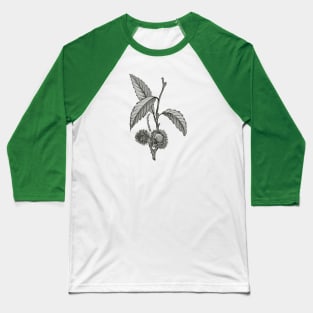 Plants Baseball T-Shirt